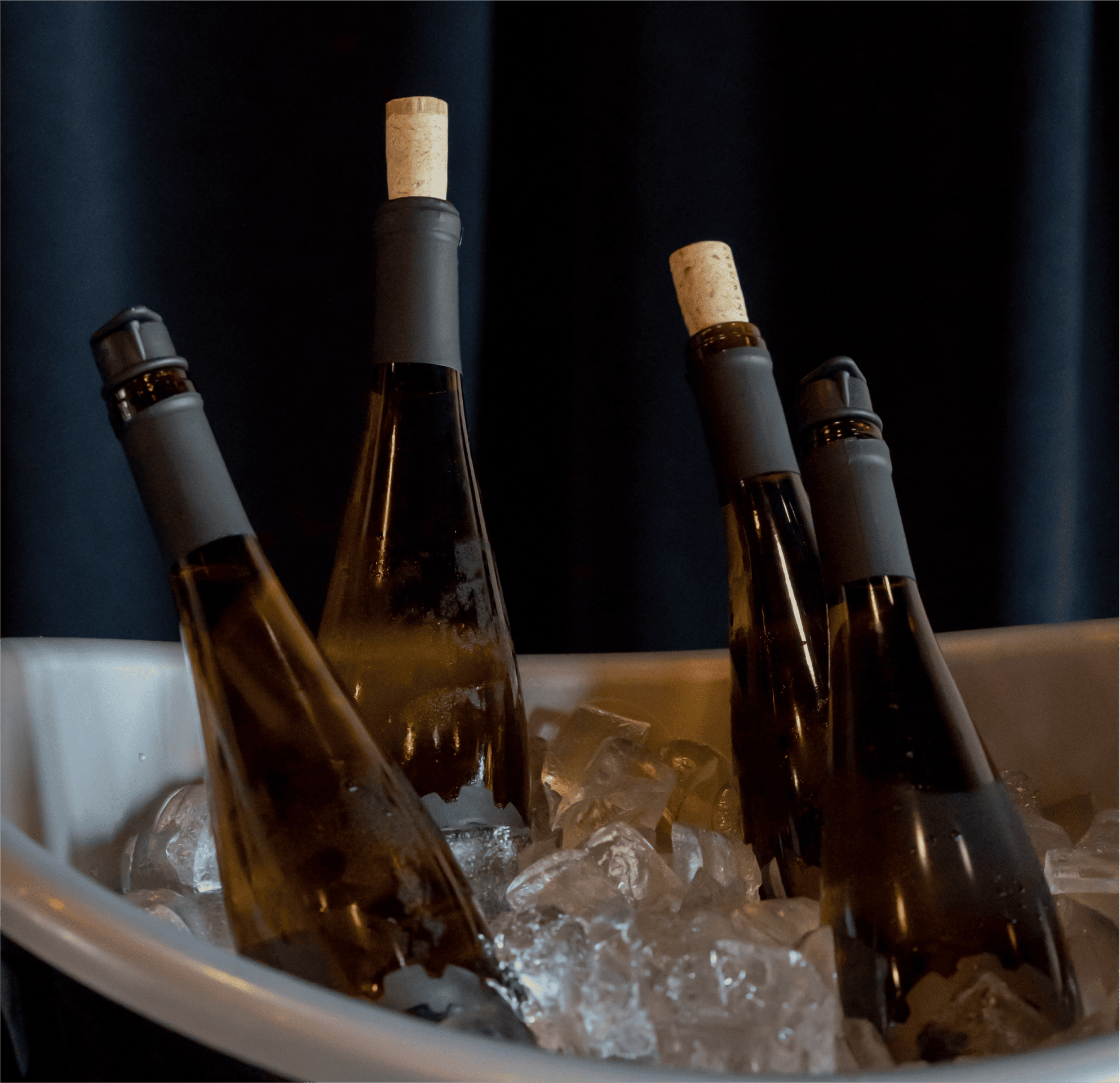 Servicios Wine Trade & Consulting